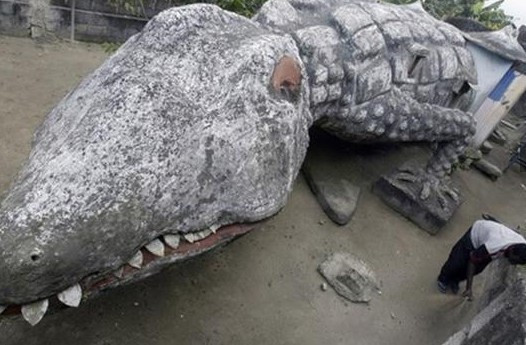 Timsahtan ev yaptılar görenler şoke oluyor! - Resim: 1