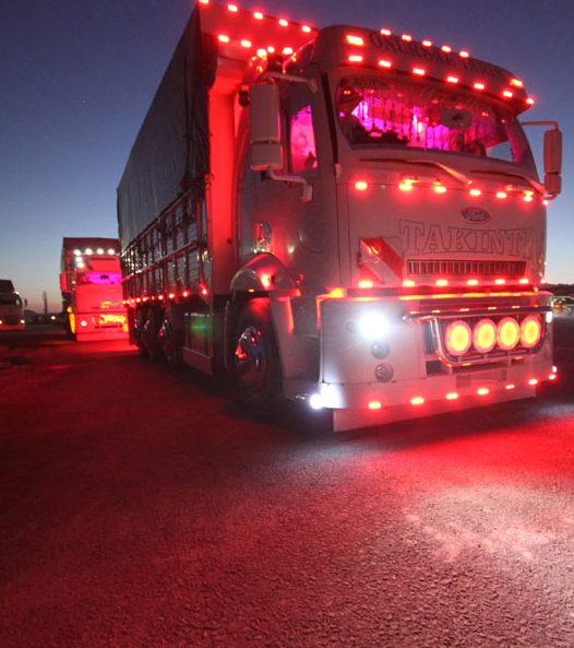 Rampaların ustası, Kamyonunun hastası - Resim: 1