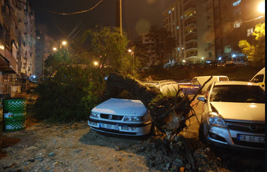 Fırtına ortalığı savaş alanına çevirdi - Resim: 2