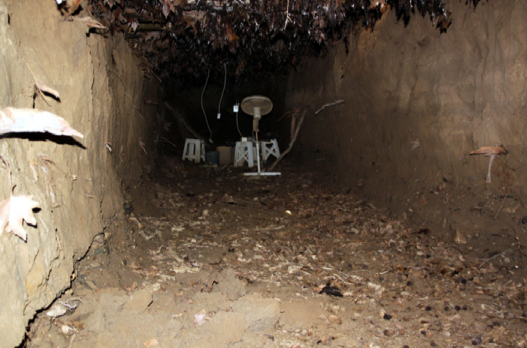 Türkiye'nin en esrarengiz tüneli - Resim: 4