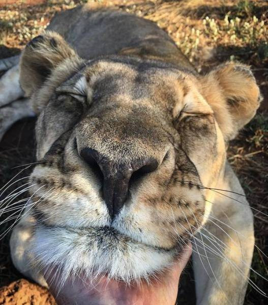 Pazartesiye ilaç gibi gelecek fotoğraflar - Resim: 1