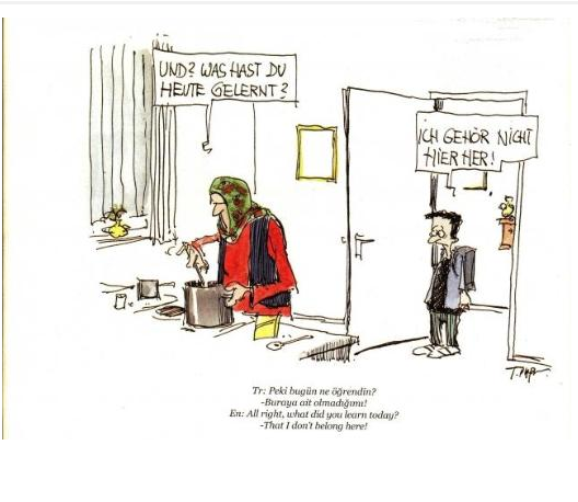 Alman karikatüristler Türkleri böyle gördü - Resim: 3