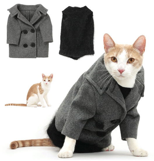 Onların da bir modası var! - Resim: 1