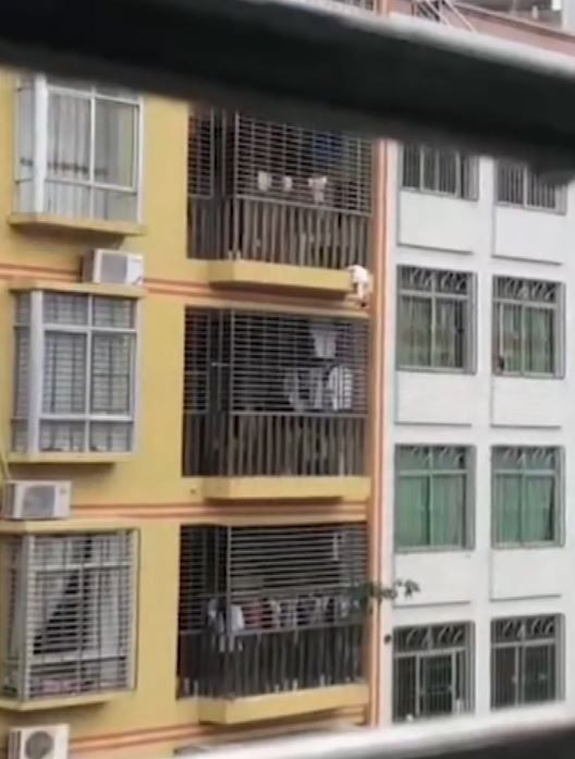 Yürekler ağza geldi bebek balkondan dışarıya böyle sarktı - Resim: 2