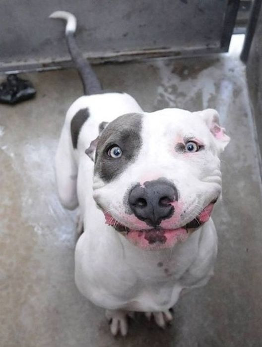 Bunlar günün en ilginç fotoğrafları - Resim: 3