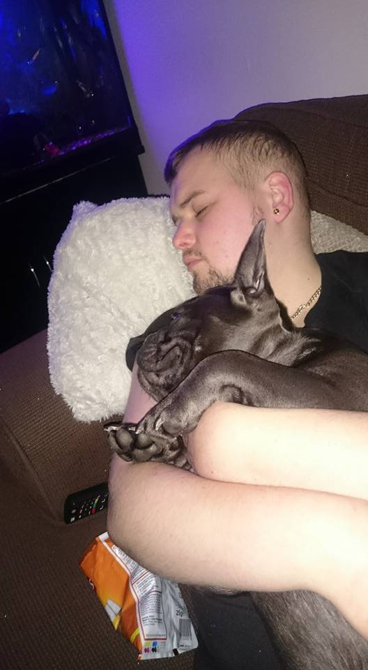 İskoçya'da bir köpek sahibinin ölümüne 15 dakika dayanabildi! - Resim: 1