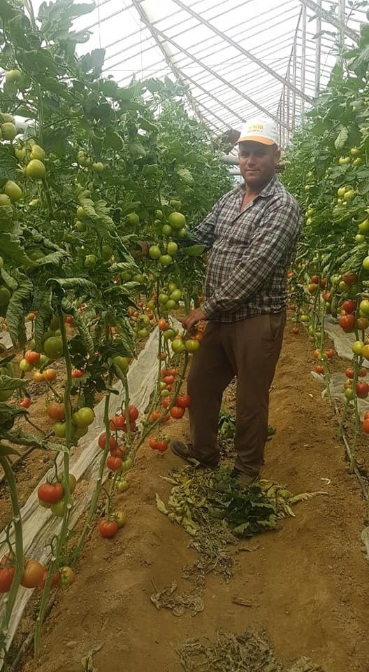 Tarladan sofraya yüzde 400 artış! Çiftçi dertli: Yük bizim sırtımızda ama kazanan biz değiliz - Resim: 0