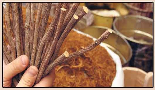 Sigara bıraktıran Datça macunu efsane mi? - Resim: 3