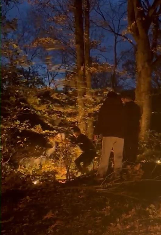 3 yıl önce haberlere konu olan adam ormanda alev alev yanarak öldü - Resim: 3