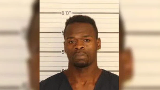 Ünlü milyarderin torunu kaçırılmıştı! Eliza Fletcher'ın akıbeti kötü çıktı - Resim: 1