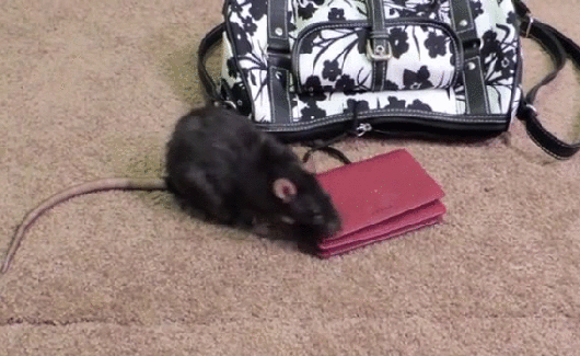 Bu görüntüler sizi şok edecek! - Resim: 1