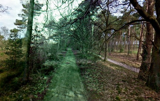 Google kamerasından kaçamayanlar - Resim: 3