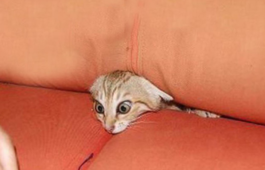 İnternetin en komik halleri - Resim: 3