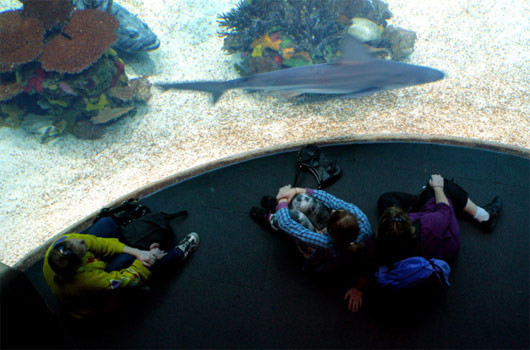 Su altında cennet - Resim: 1