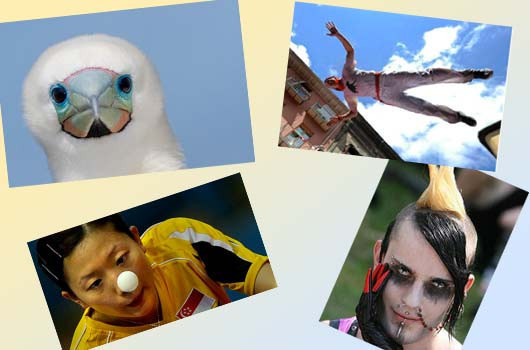 İnternetin en çok tıklanan fotoğrafları - Resim: 1