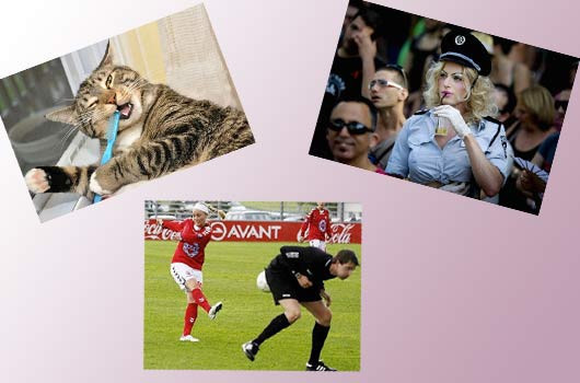 Sanal alemin en renkli kareleri! - Resim: 1