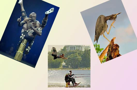 Birbirinden ilginç kareler  - Resim: 1