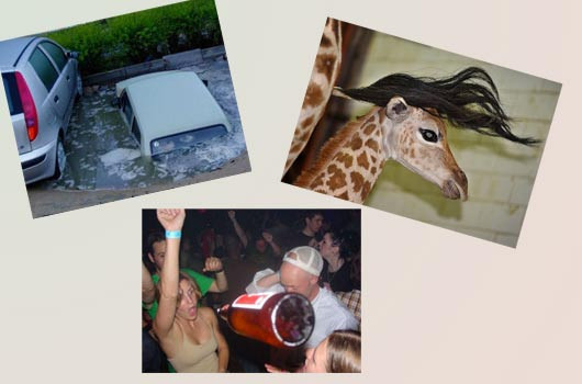 Günün tıklanma rekoru kıran kareleri - Resim: 1