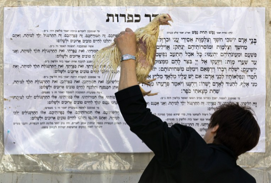 Bütün günahı tavuklar çekiyor - Resim: 1