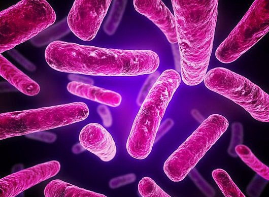 2014'te öğrenilen önemli bilgiler - Resim: 3