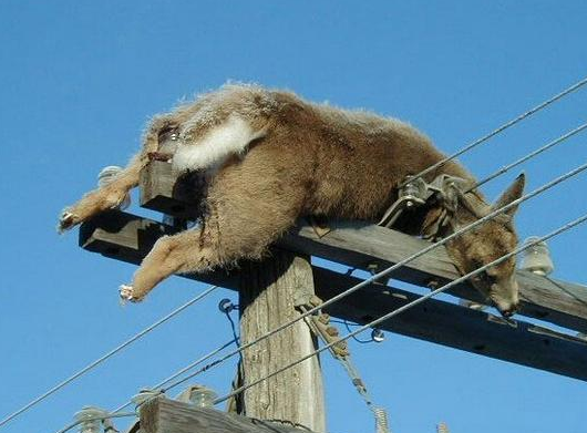 Yok artık daha neler diyebilirsiniz - Resim: 4