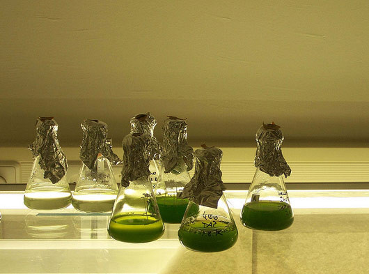 Adaylara gözde meslek önerileri - Resim: 3