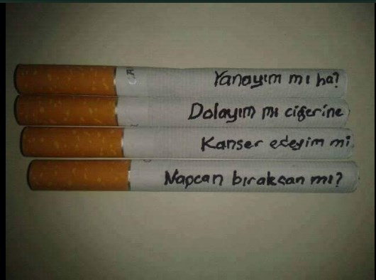 İnternetin son çılgınlığı 'Napcan' capsleri! - Resim: 3