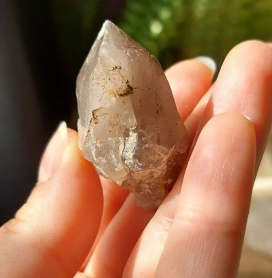 Sahilden gidip topluyorlar bu taşlar altın kadar değerli! - Resim: 2