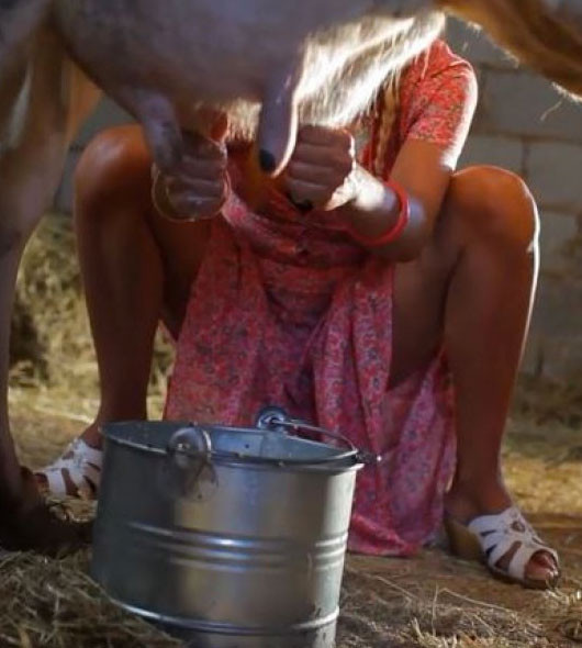 Vahşi cazibe İvana Sert süt sağarsa... - Resim: 2