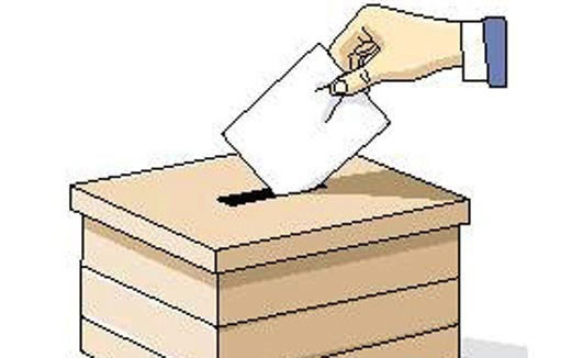 Bu anket BDP'yi küplere bindirecek - Resim: 4