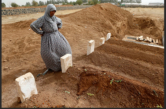 Suruç'ta ki 'Kobani' Şehitliği - Resim: 1