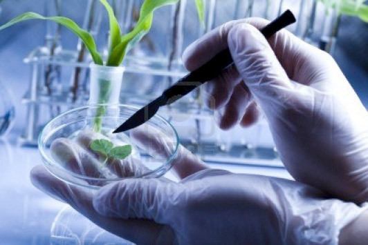 2014'ün 10 teknolojik buluşu - Resim: 1