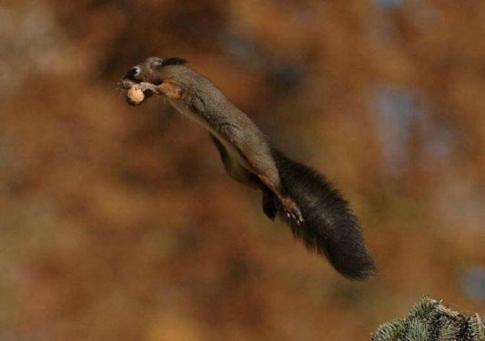 Bu karelerin eşi benzeri yok - Resim: 3
