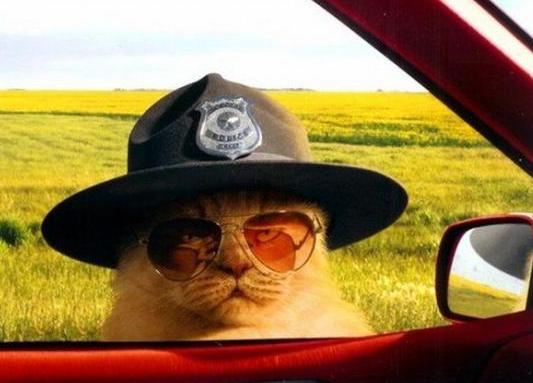 Sanal alemin en çok tıklananları - Resim: 2