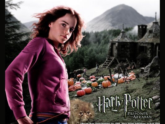 Milyonların gözü önünde büyüdüler - Resim: 4