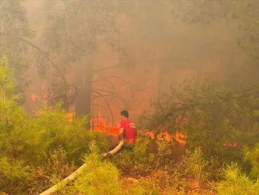 Muğla, Antalya, Balıkesir ve Çanakkale'de orman yangını! işte 4 ildeki son durum - Resim: 4