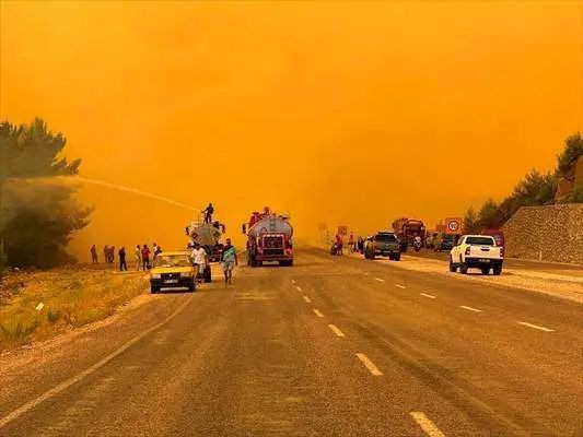 Muğla, Antalya, Balıkesir ve Çanakkale'de orman yangını! işte 4 ildeki son durum - Resim: 1
