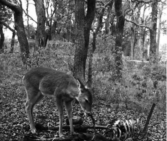 Metruk binanda bir anda beliren görüntü kan dondurdu! - Resim: 1