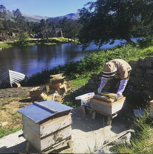 Düşesin kardeşi James Middleton'ı köy hayatı ziyadesiyle mutlu ediyor - Resim: 3