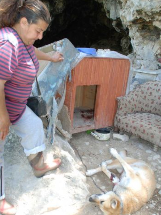 Bunu yapan insan olamaz! - Resim: 2