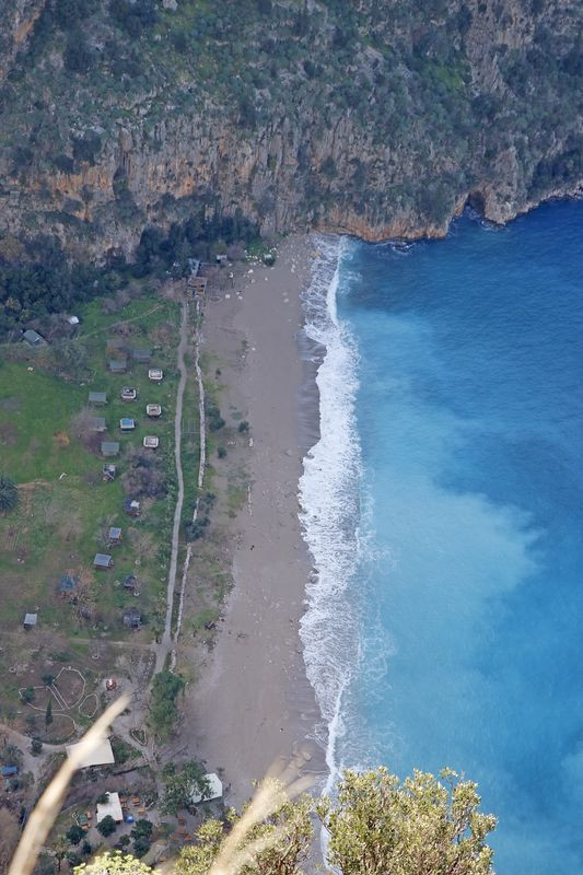 Muğla'da bu halde gören telefona sarıldı! İnsanlar hayret etti - Resim: 1