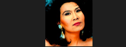 Bülent Ersoy'un tıpatıp benzeri Almanya'da çıktı - Resim: 1