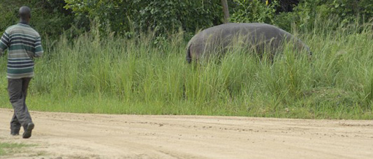 Korkunç anlar an be an görüntülendi - Resim: 4