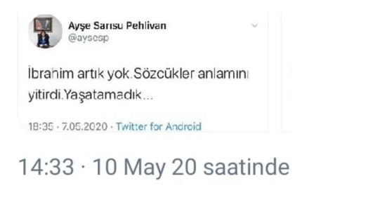 HSK’dan İbrahim Gökçek paylaşımı yapan Ayşe Sarısu Pehlivan için flaş karar - Resim: 1