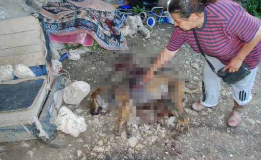 Bunu yapan insan olamaz! - Resim: 4