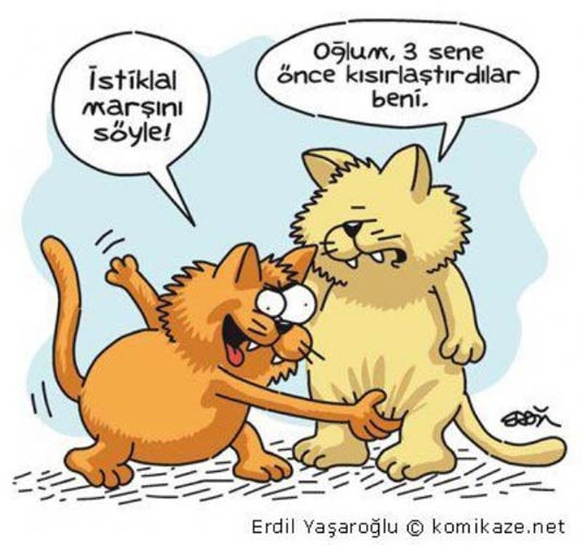 Günün en komik karikatürleri - Resim: 1