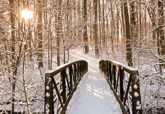 Cennette eşler birlikte mi olacak? - Resim: 3