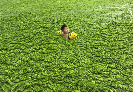 Çin'den korkunç fotoğraflar - Resim: 1