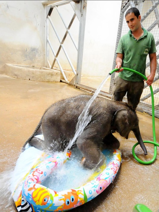 İzmir'in banyo keyfi - Resim: 1