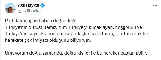 Sinan Burhan'dan bomba iddia: Aslı Baykal yeni parti kuruyor - Resim: 1